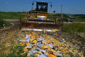 Роспотребнадзор показательно давит санкционный сыр