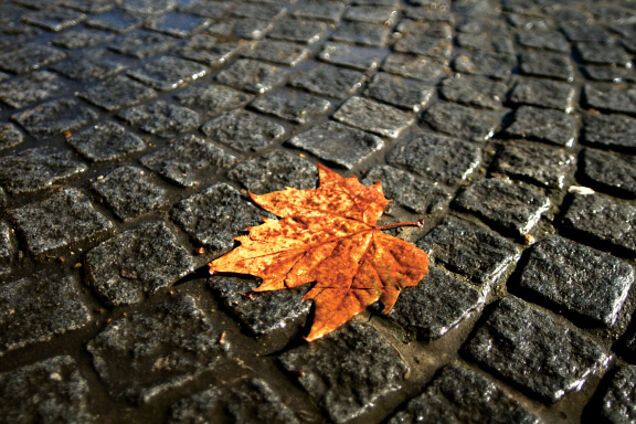 Идет похолодание: синоптики рассказали, когда изменится погода в Украине