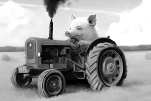 эмигранты, беженцы, поросенок