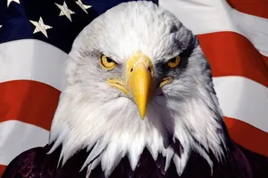 США