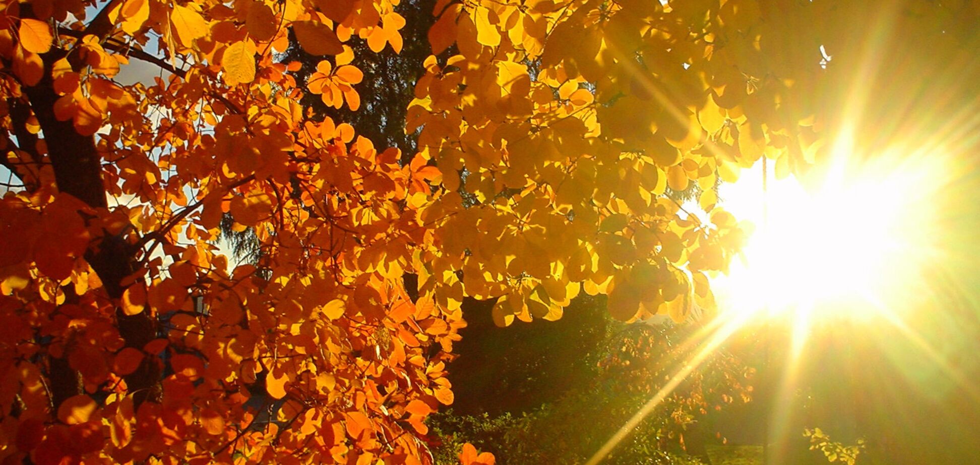 'Тепло-претепло': синоптик дала прогноз погоды на воскресенье