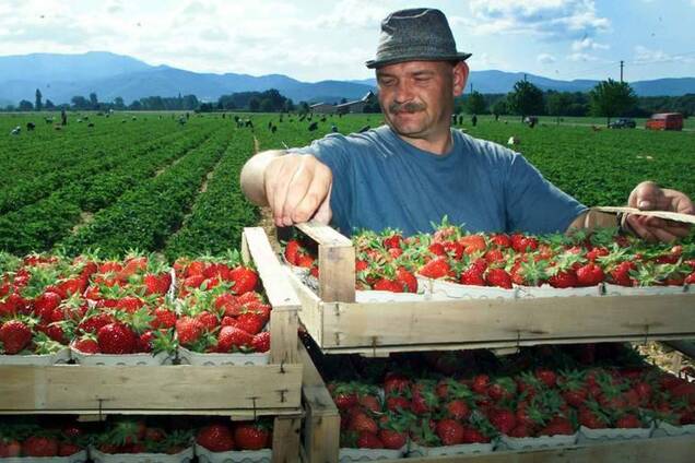 Заробітчанин