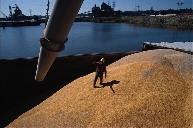 Такой период: в Госпотребслужбе рассказали, почему Россия пытается вытеснить украинское зерно из Египта 