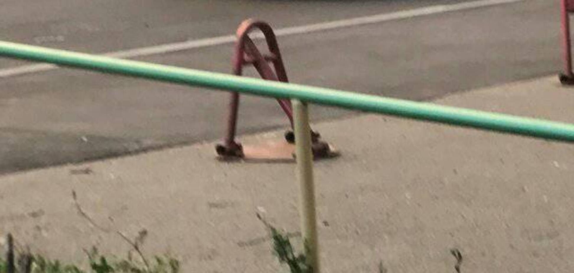 Ехал по 'встречке' и сигналил: в Киеве 'мажор' с телохранителями напал на людей