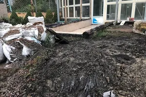 Будинок Руслани Лижичко