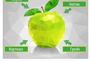 Як гормони впливають на вагу