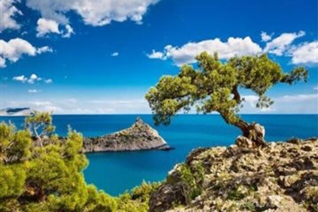 Новости Крымнаша. Перенимаем опыт бумажного величия