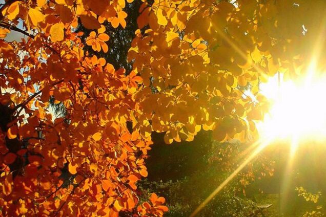 Літо триває: в Україну йде серйозне потепління