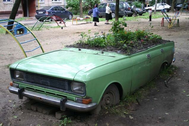 Жажда жадности. Реалии оккупации