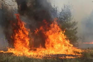 Полтавскую область охватил сильнейший пожар: людей эвакуируют из зоны опасности