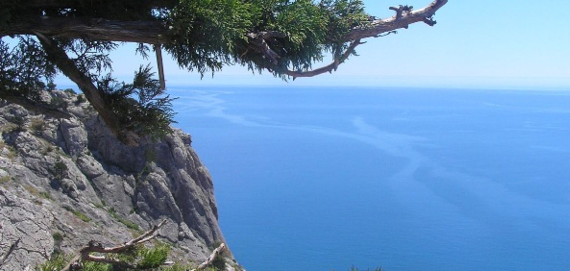 Новости Крымнаша. Судить нельзя помиловать