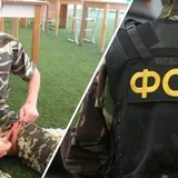 Павел Гриб