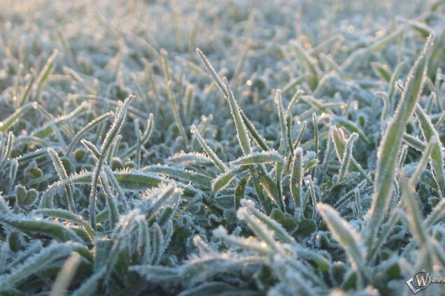 Зима близко: украинцев предупредили о грядущих заморозках