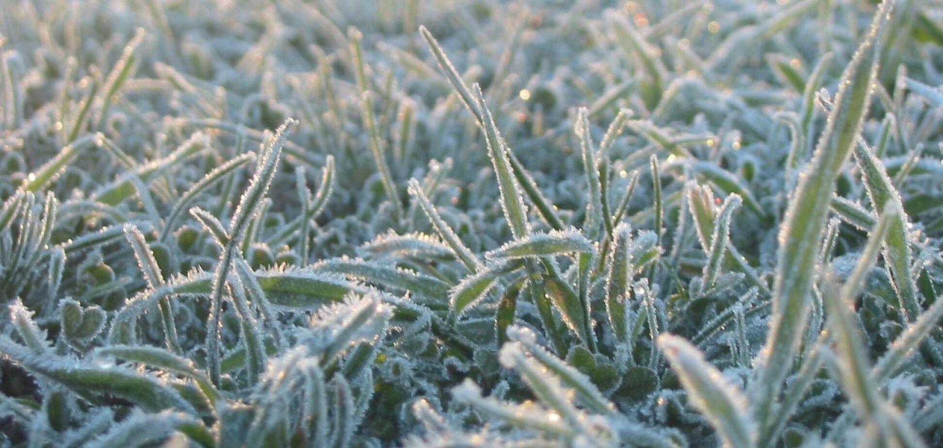 Зима близко: украинцев предупредили о грядущих заморозках