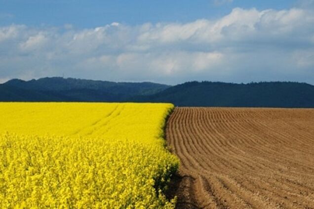 Дорога в пекло. АПК: від локомотиву економіки до кривого ровера корупції