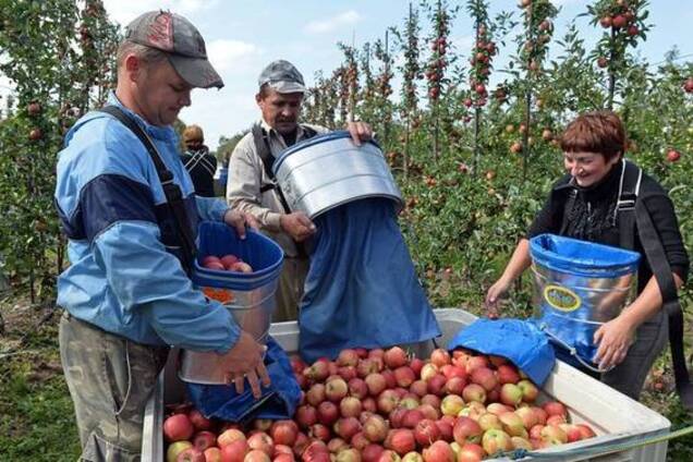 Польша ужесточит правила трудоустройства иностранных граждан