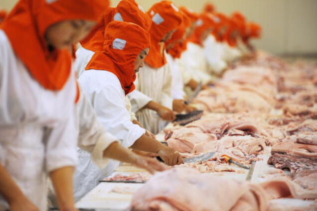 На границе Украины с Польшей обнаружена первая вспышка АЧС