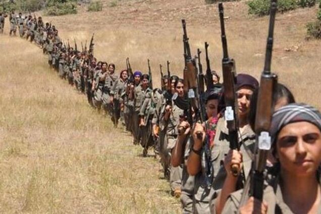 Сохранению поможет только тирания