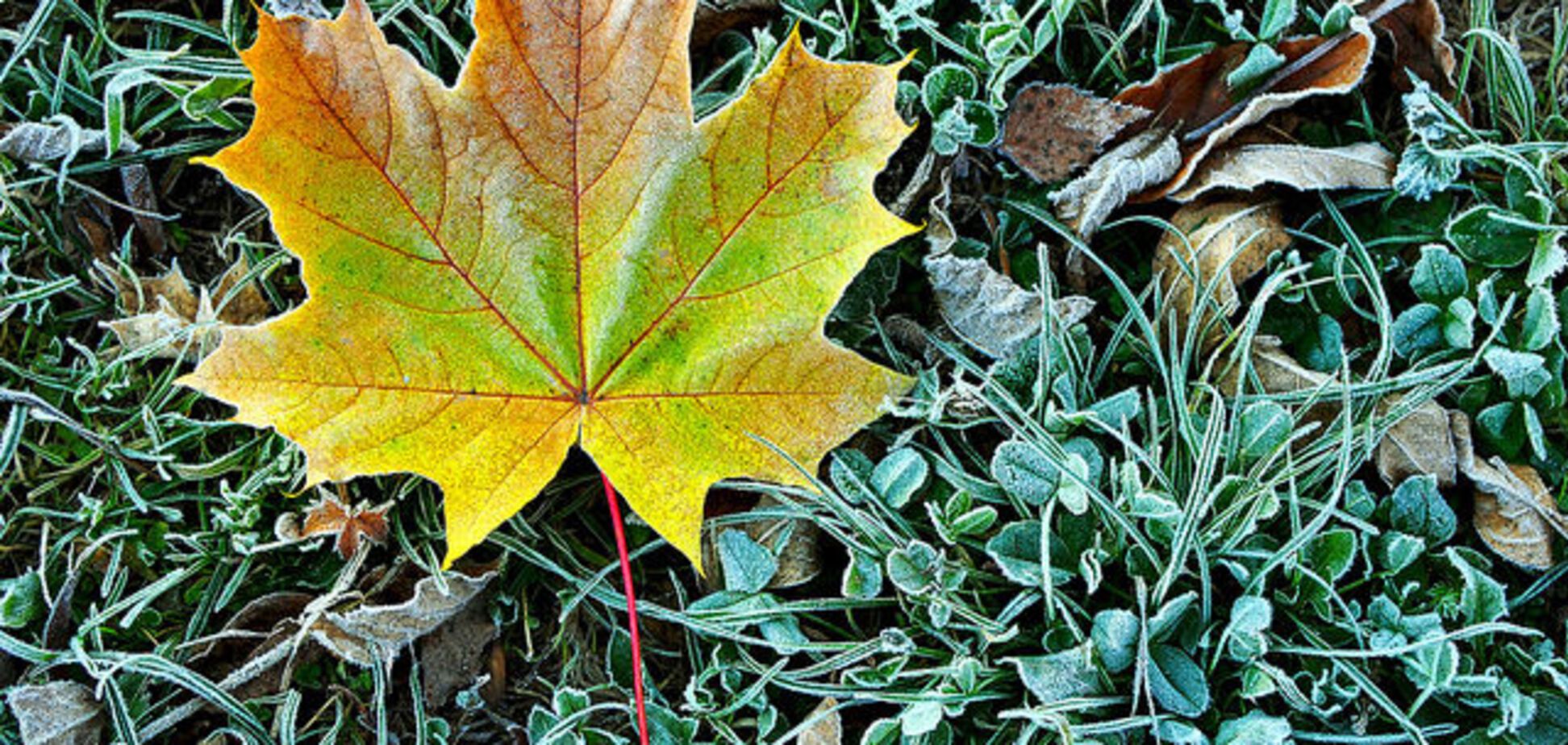 Сухо і заморозки: з'явився прогноз погоди в Україні на вихідні