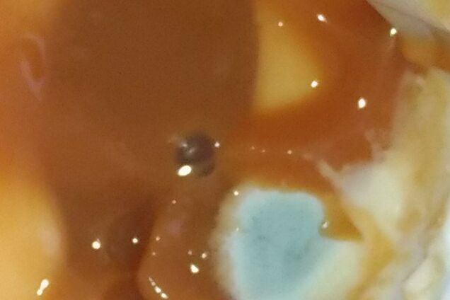 Это отвратительно: в сети показали, чем оккупанты кормят людей в Крыму