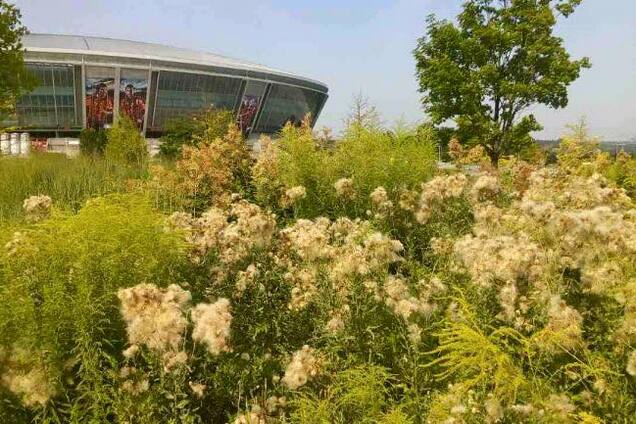 Марина Данилюк Ярмолаева