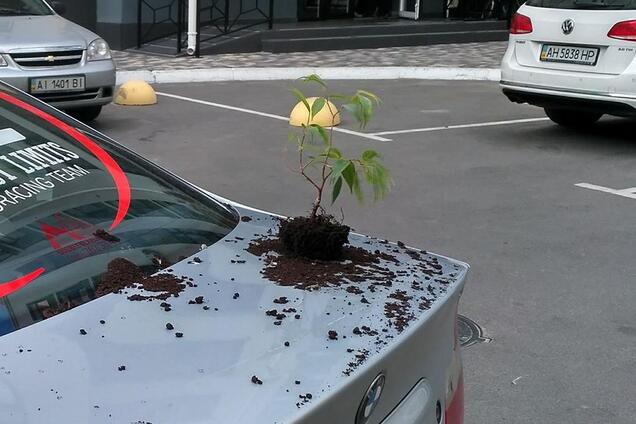 'То из окна выкидывают, то за волосы по лестнице таскают': случай в Киеве шокировал сеть