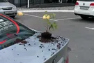 "То из окна выкидывают, то за волосы по лестнице таскают": случай в Киеве шокировал сеть