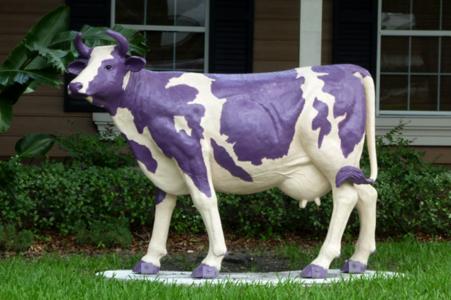 фиолетовая корова