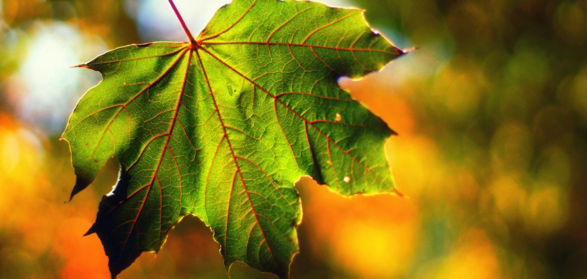 Погода на 9 сентября в Украине: каков прогноз синоптиков