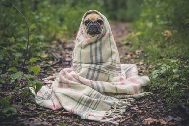 Погода на 10 сентября в Украине: каков прогноз синоптиков