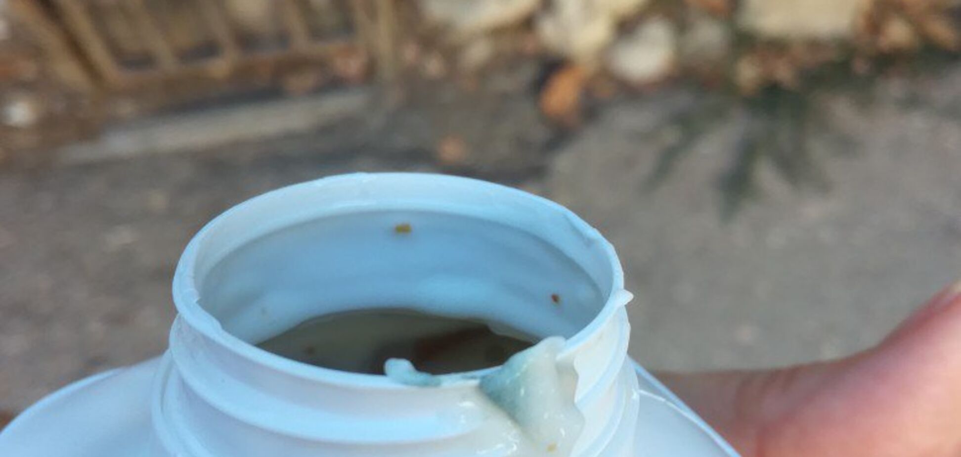 'Йогурт блю': В сети показали, чем оккупанты кормят жителей Крыма