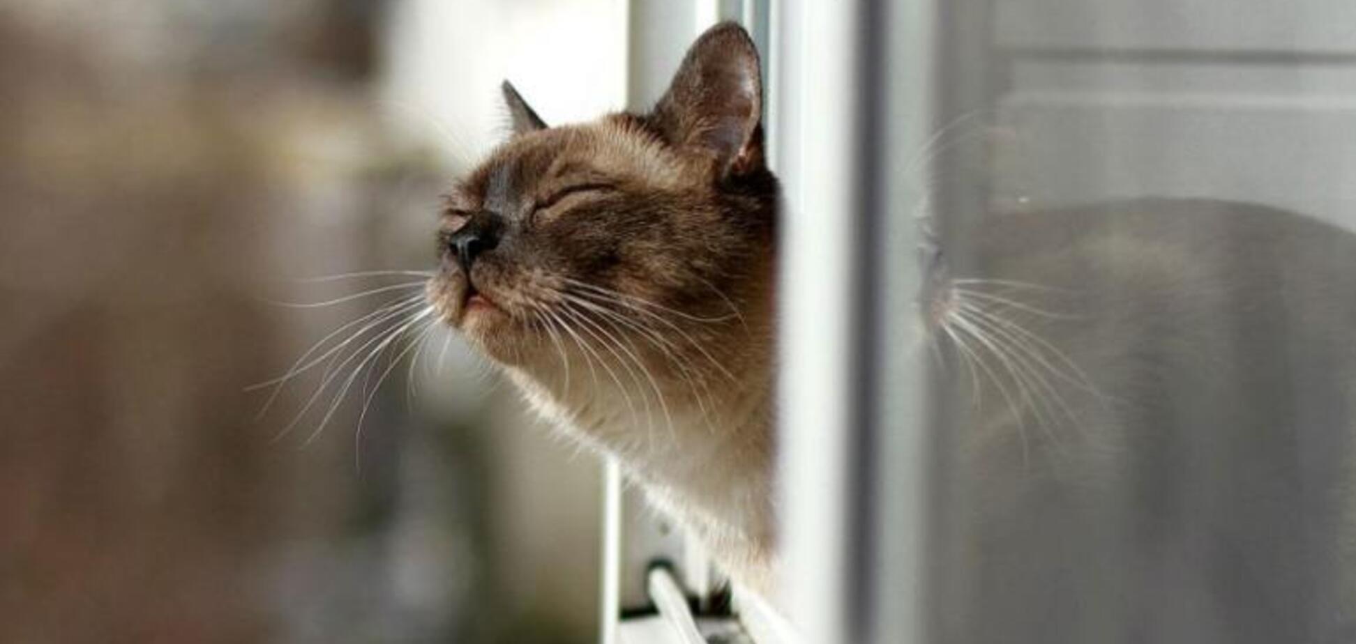 Погода в Украине