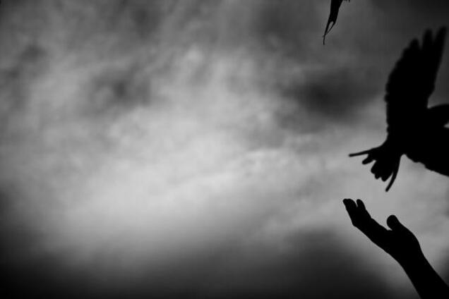 Розчленовані останки розкидали: моторошні подробиці вбивства в Києві