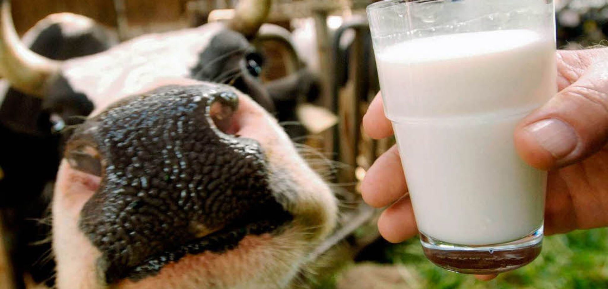 В Україні відкладуть заборону на продаж молока другого сорту