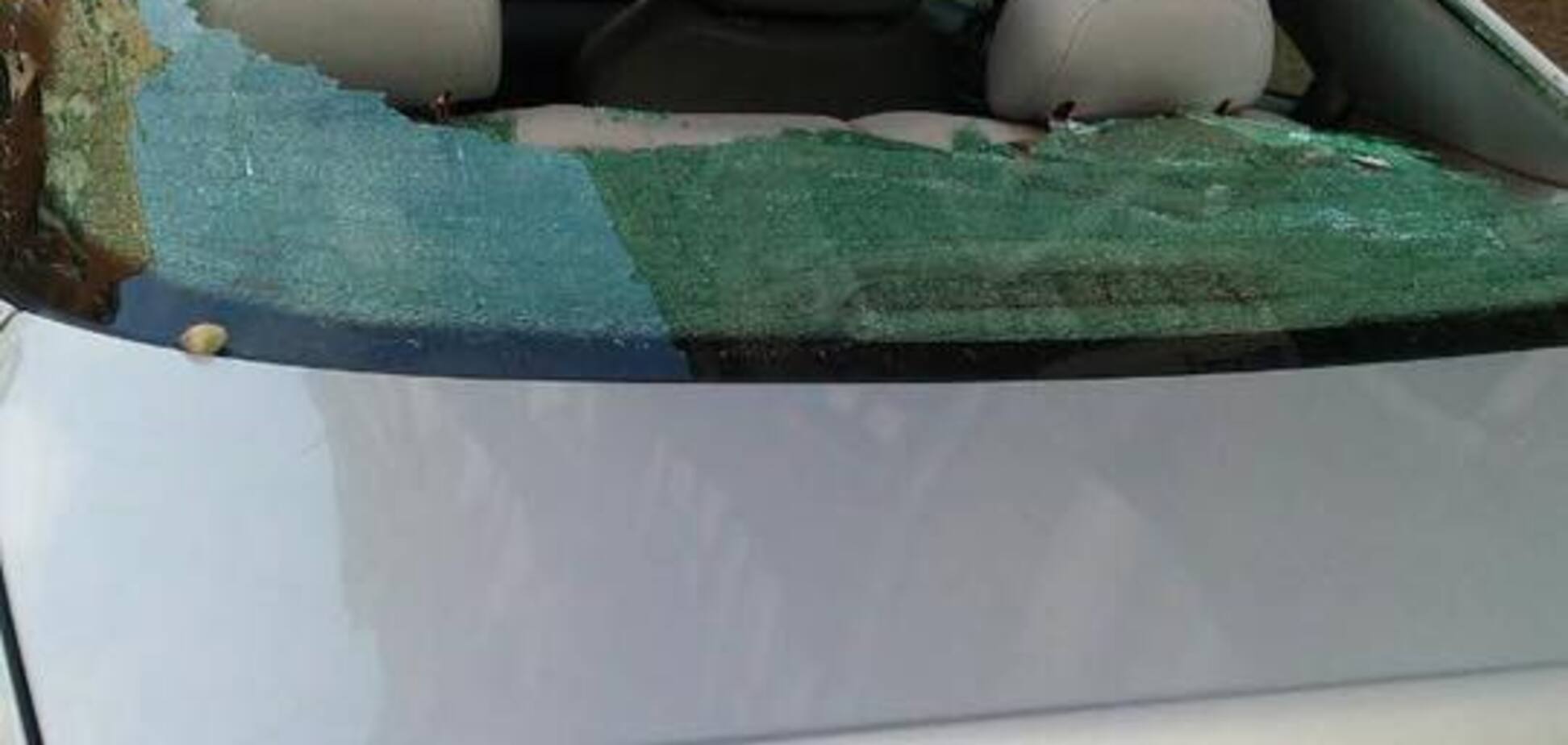 'Ничего не предвещало беды': в Польше устроили 'теплый' прием россиянам