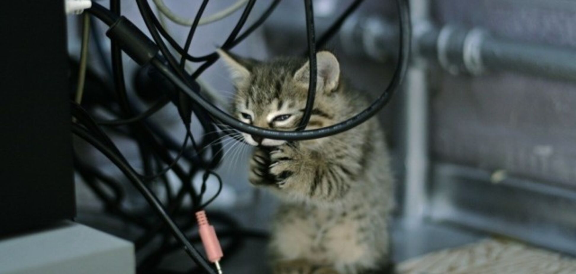 О реальных причинах отключения МТС на оккупированных территориях