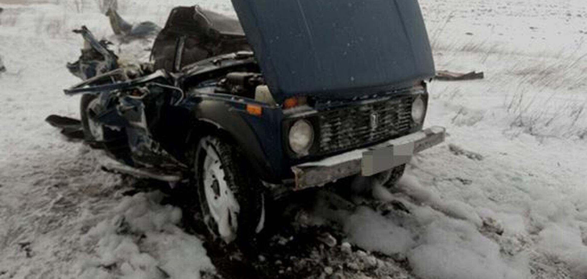 Стало известно о новых пострадавших в ДТП с автобусом в Запорожской области (ФОТО)