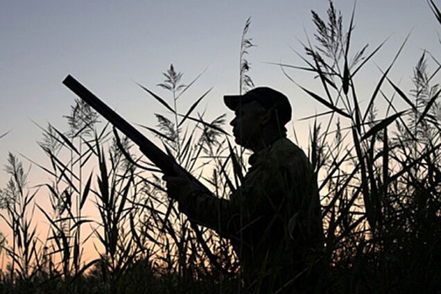 Швидко зняли шкуру: під Києвом жорстоко розправилися з твариною