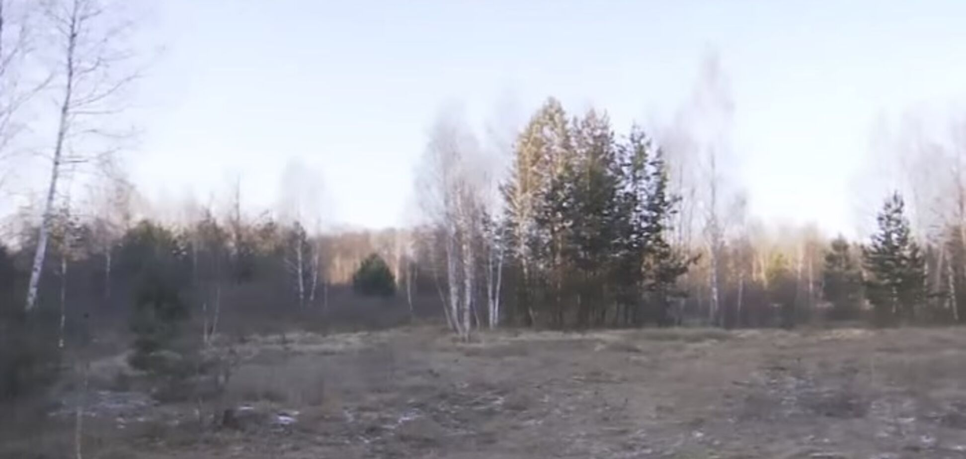 'Организатора не назову из-за страха': на Волыни провернули масштабную янтарную аферу