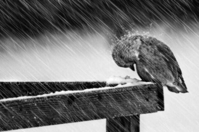 Мокрый снег в Украине