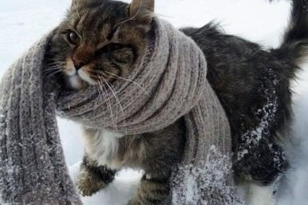 Морозы в Украине