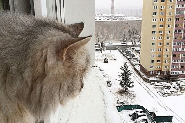 'Розвели тут плітки': синоптик дала прогноз погоди в Києві