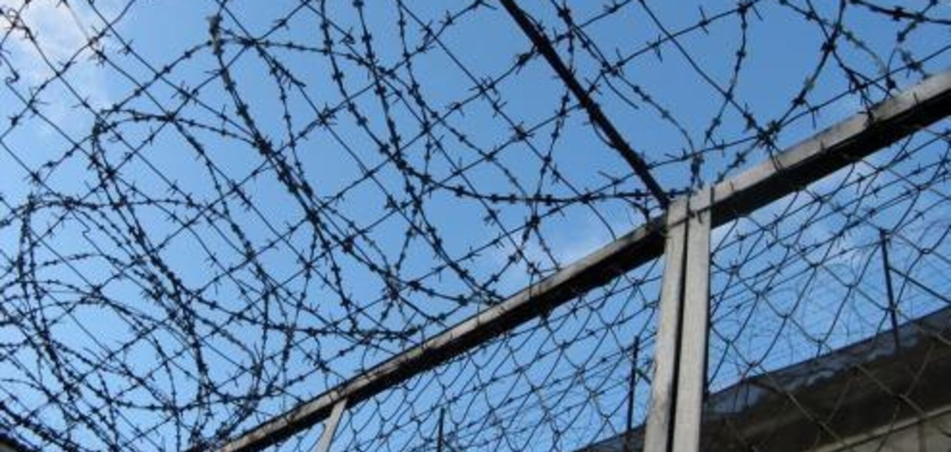 Что такое свобода под небом в клеточку