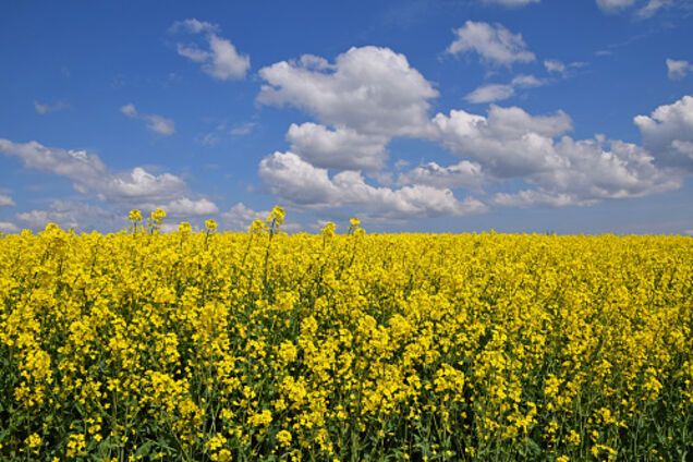 'Боже, куда катится этот мир...'