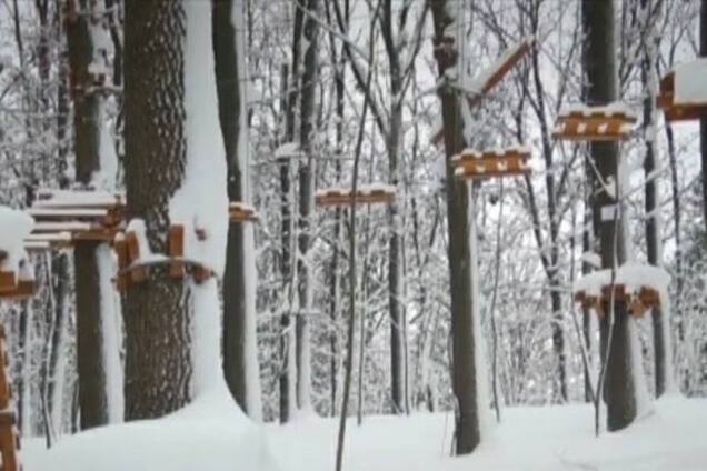 Друзья лишь наблюдали: в дендропарке Умани в страшных муках умер ребенок. Фото и видео