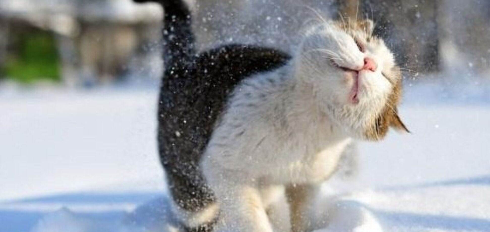 Дождались! Синоптик обрадовала прогнозом погоды на выходные в Киеве