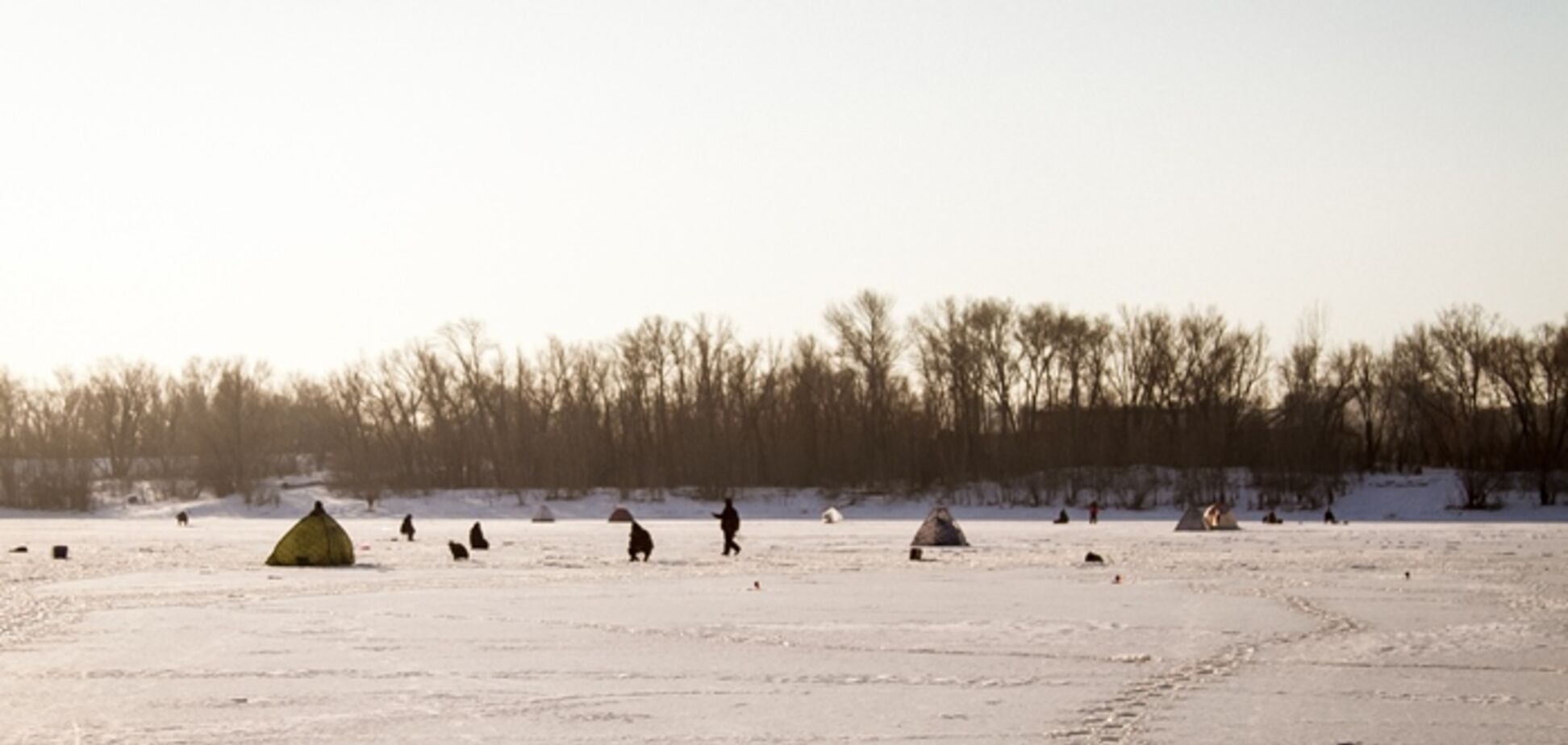 У Росії спіймали рибу, схожу на дракона: опубліковано моторошне фото