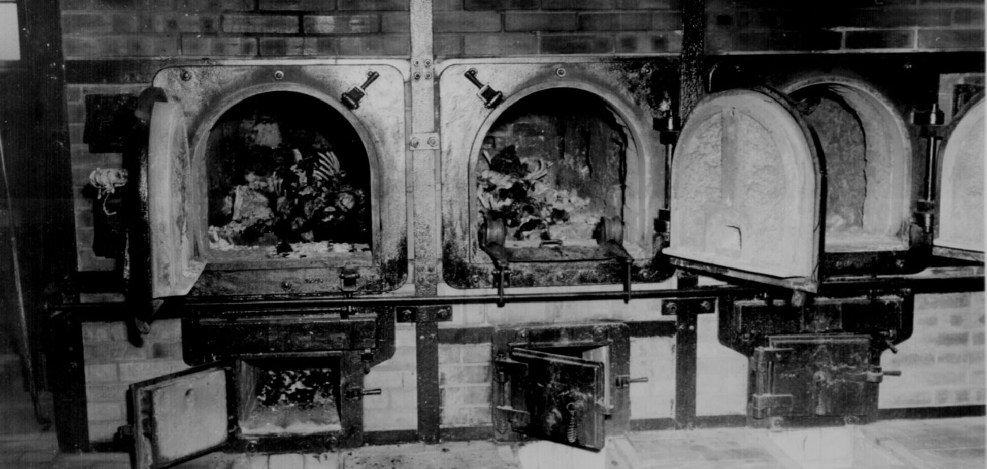 Поляки хочуть переписати історію?