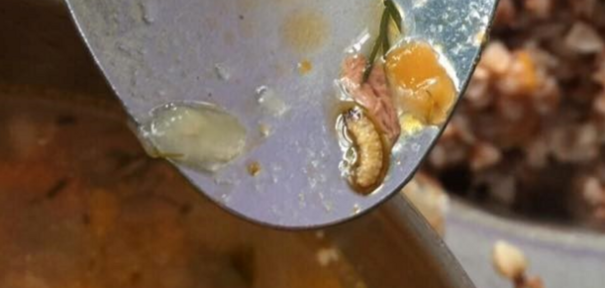 Миллионные растраты и червяки в еде: суд отпустил начальника харьковского ВУЗа