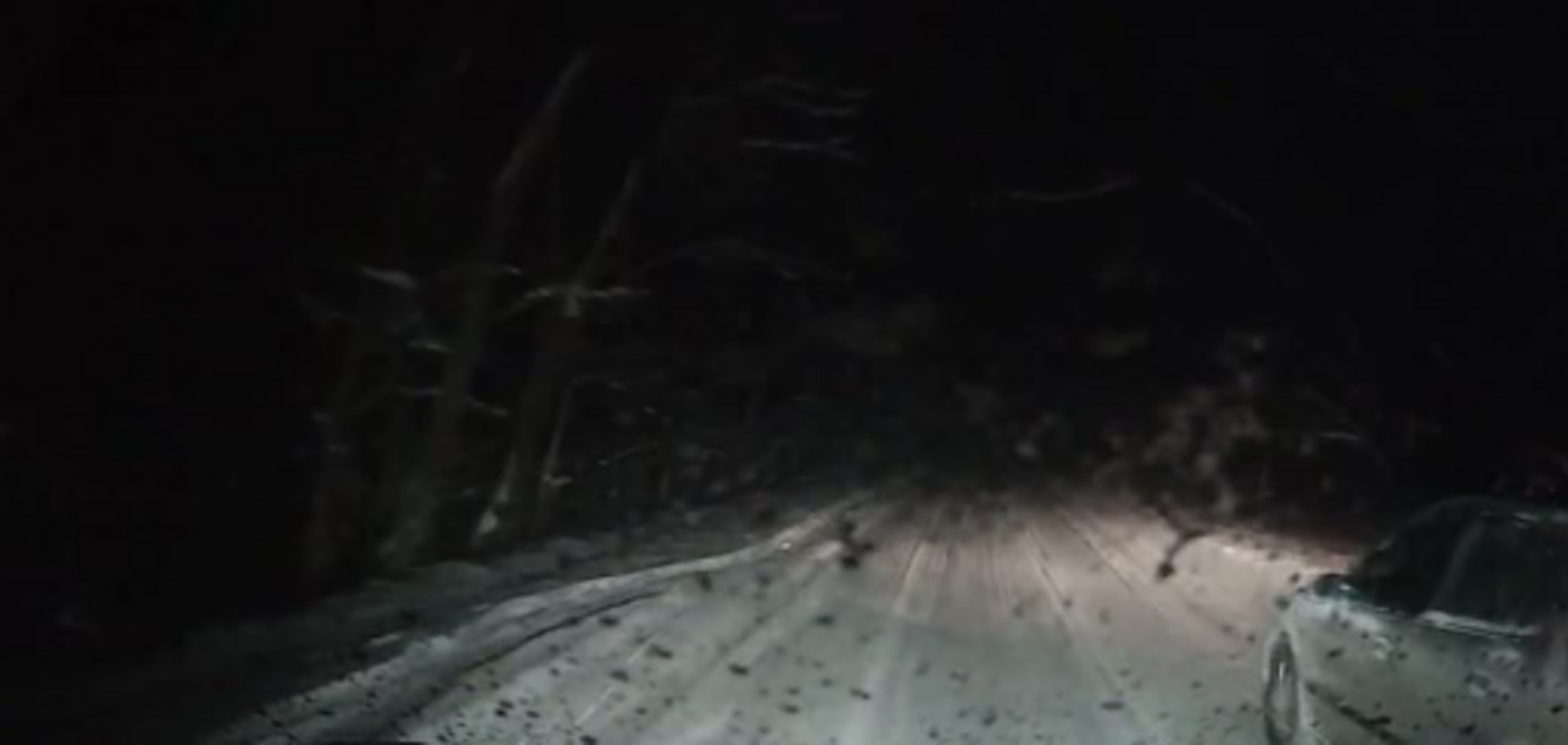 Шовковский попал в ДТП на заснеженной трассе: опубликовано видео